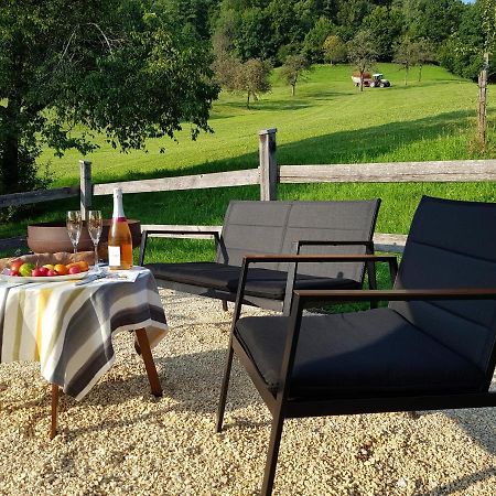 Business Apartment Schwarzach Εξωτερικό φωτογραφία