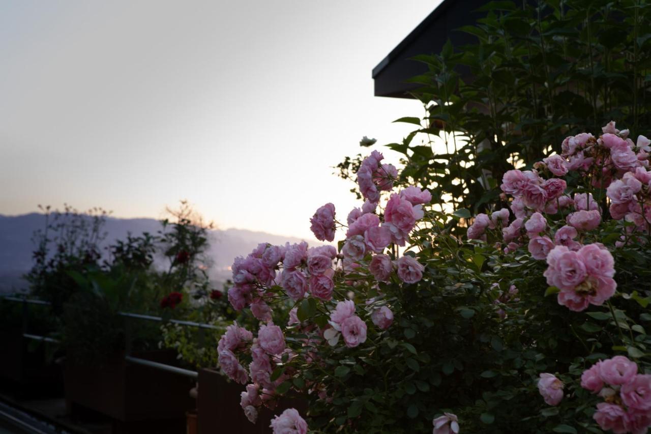 Business Apartment Schwarzach Εξωτερικό φωτογραφία